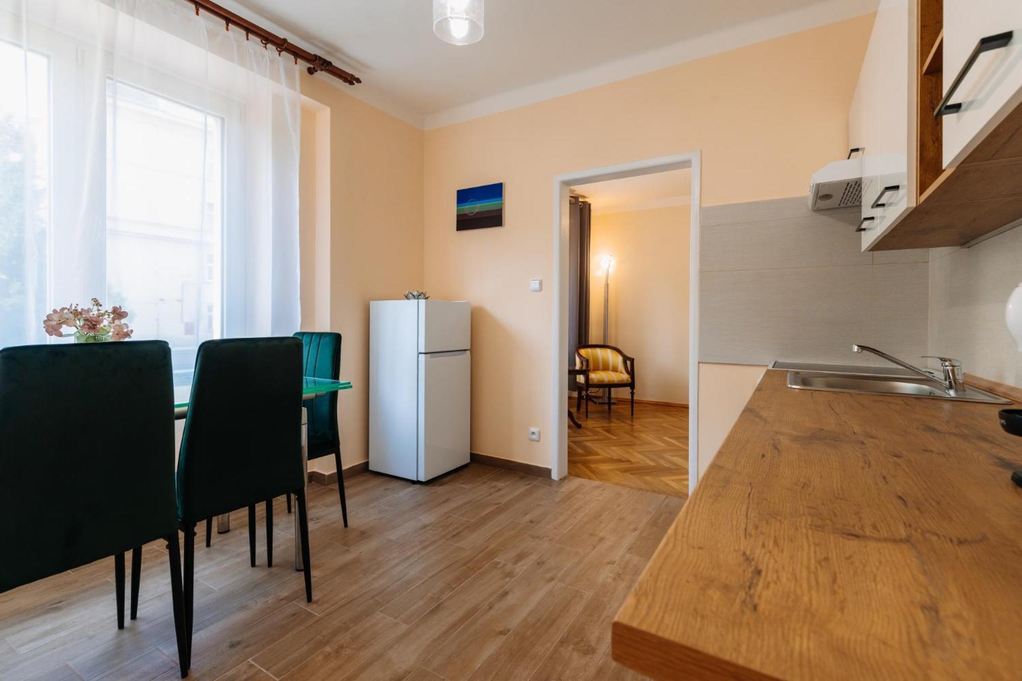 Apartments Tgm 11 Karlovy Vary Dış mekan fotoğraf